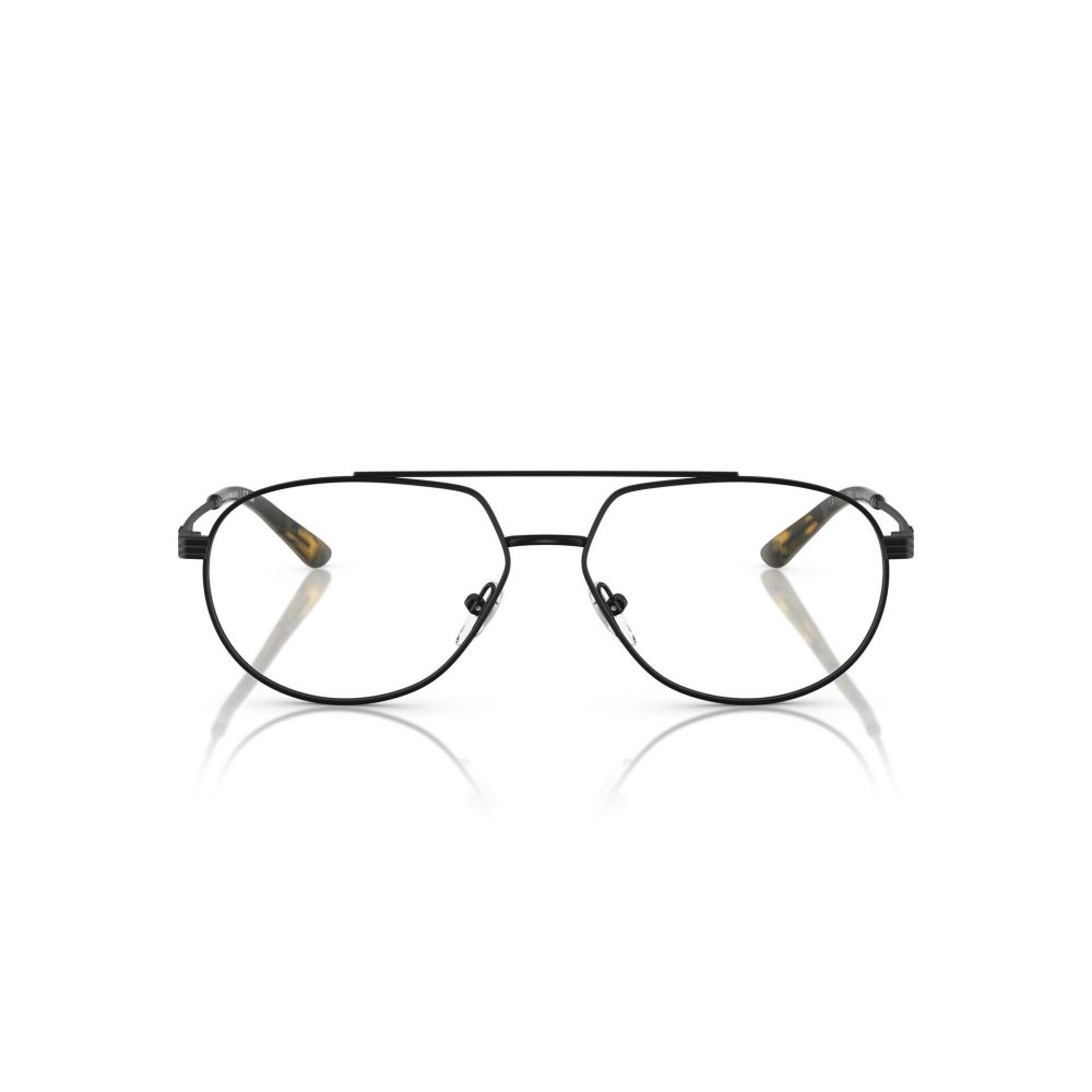 EMPORIO ARMANI 1165/3001/56