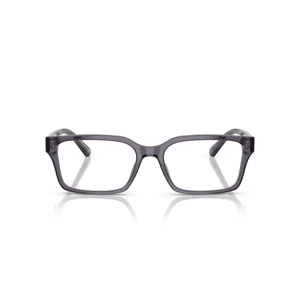 EMPORIO ARMANI 3244/6106/55