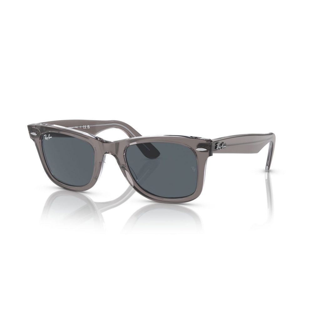 RAY-BAN 2140/1355R5/50