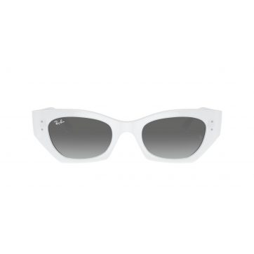 RAY-BAN RAY BAN 4430/675911/49