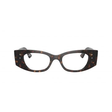 RAY-BAN FRAMES RAY-BAN 7327/8320/50